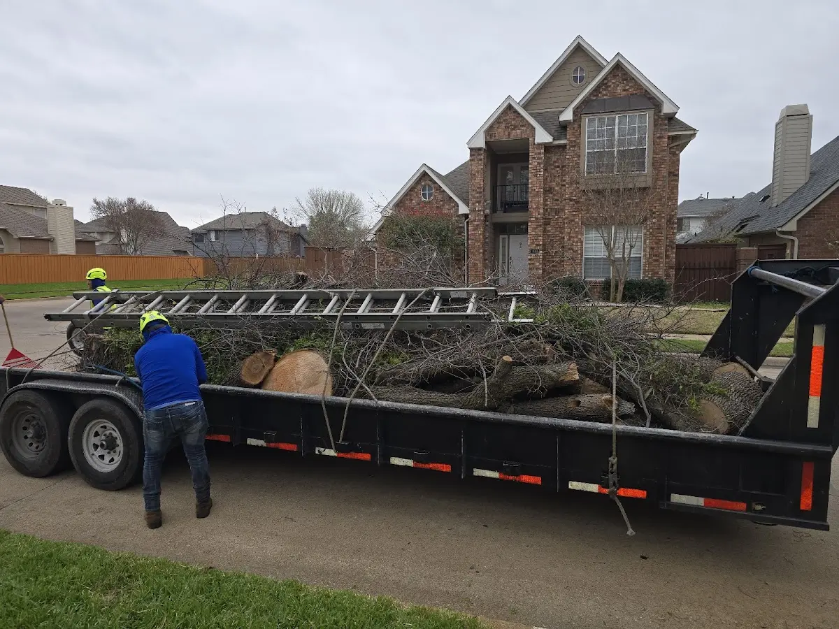 Expert Tree Pest Control with proper safety equipment in Middle Island